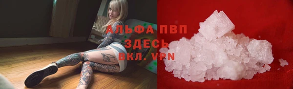 индика Красноперекопск