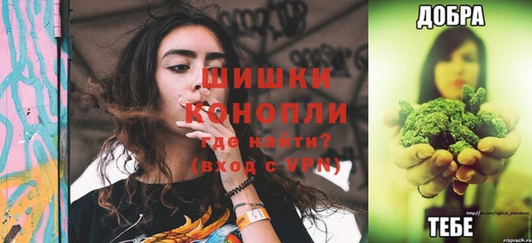 индика Красноперекопск