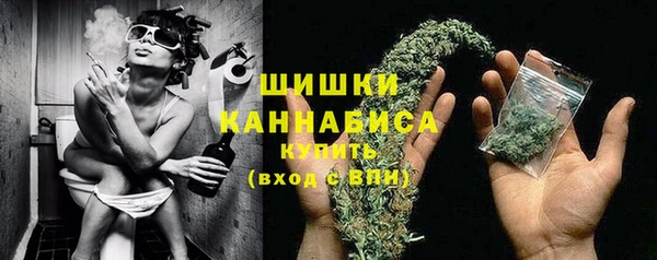 индика Красноперекопск