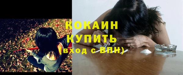 индика Красноперекопск
